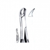 Extracting Forceps American Pattern